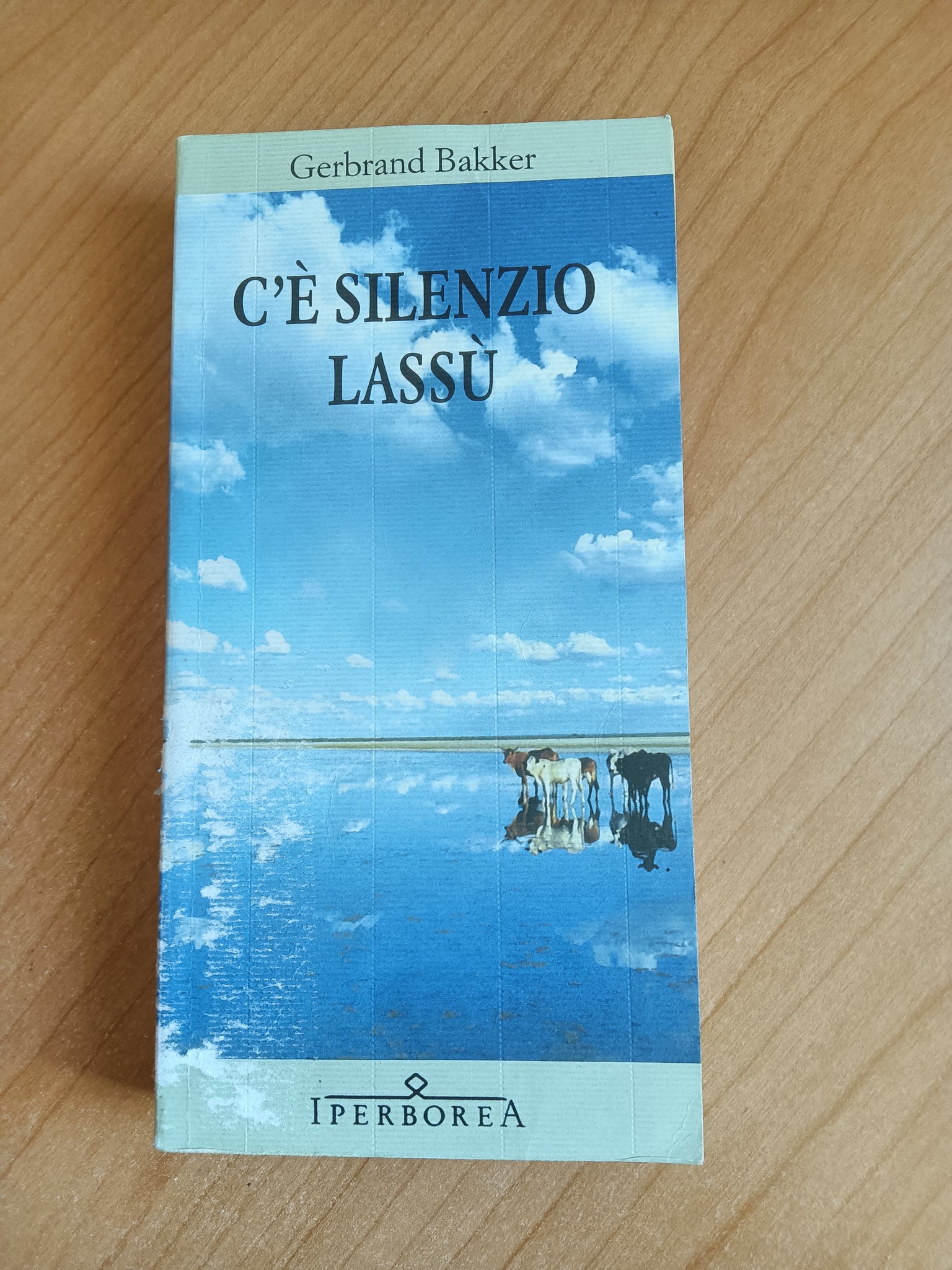 C’è silenzio lassù | Gerbrand Bakker - Iperborea