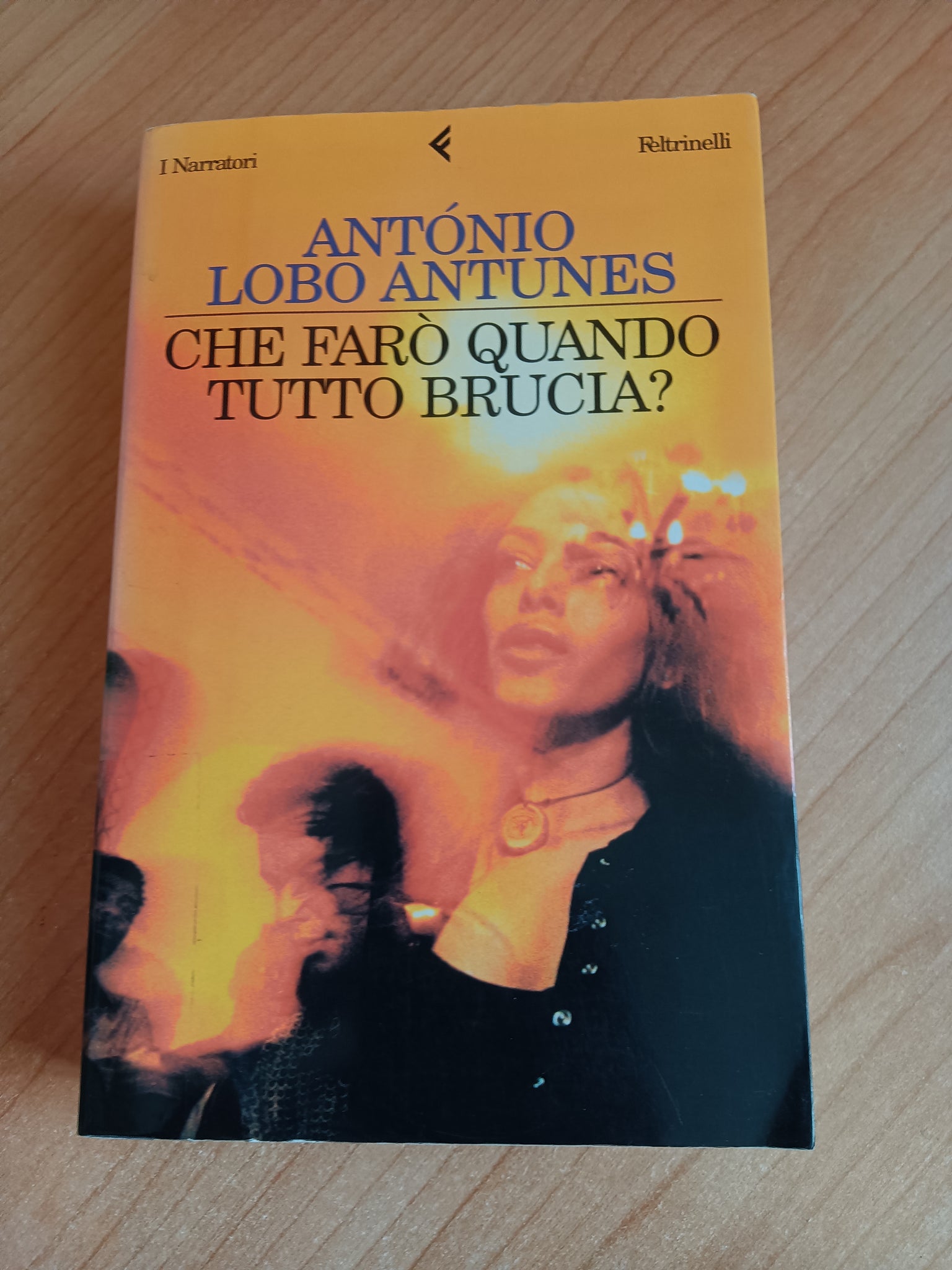 Che farò quando tutto brucia? | Antonio Lobo Antunes - Feltrinelli