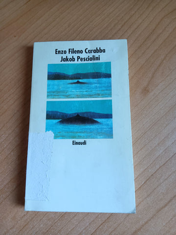 Jakob Pesciolini | Enzo Fileno Carabba - Einaudi