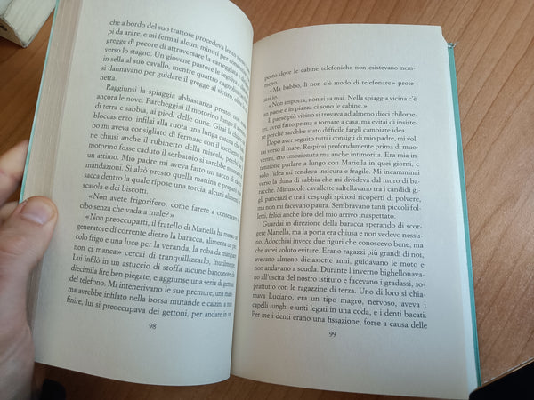 La spiaggia di quarzo | Anna Maria Falchi - Guanda