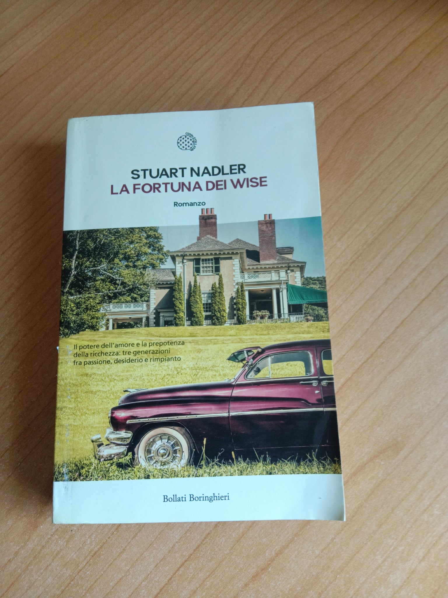 La fortuna dei Wise | Stuart Nadler - Bollati Boringhieri