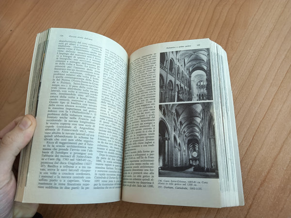 Piccola storia dell’arte | Fritz Baumgart - Mondadori