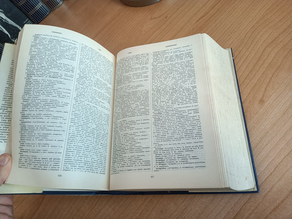 Grande dizionario Hazon Garzanti inglese-italiano, italiano-inglese