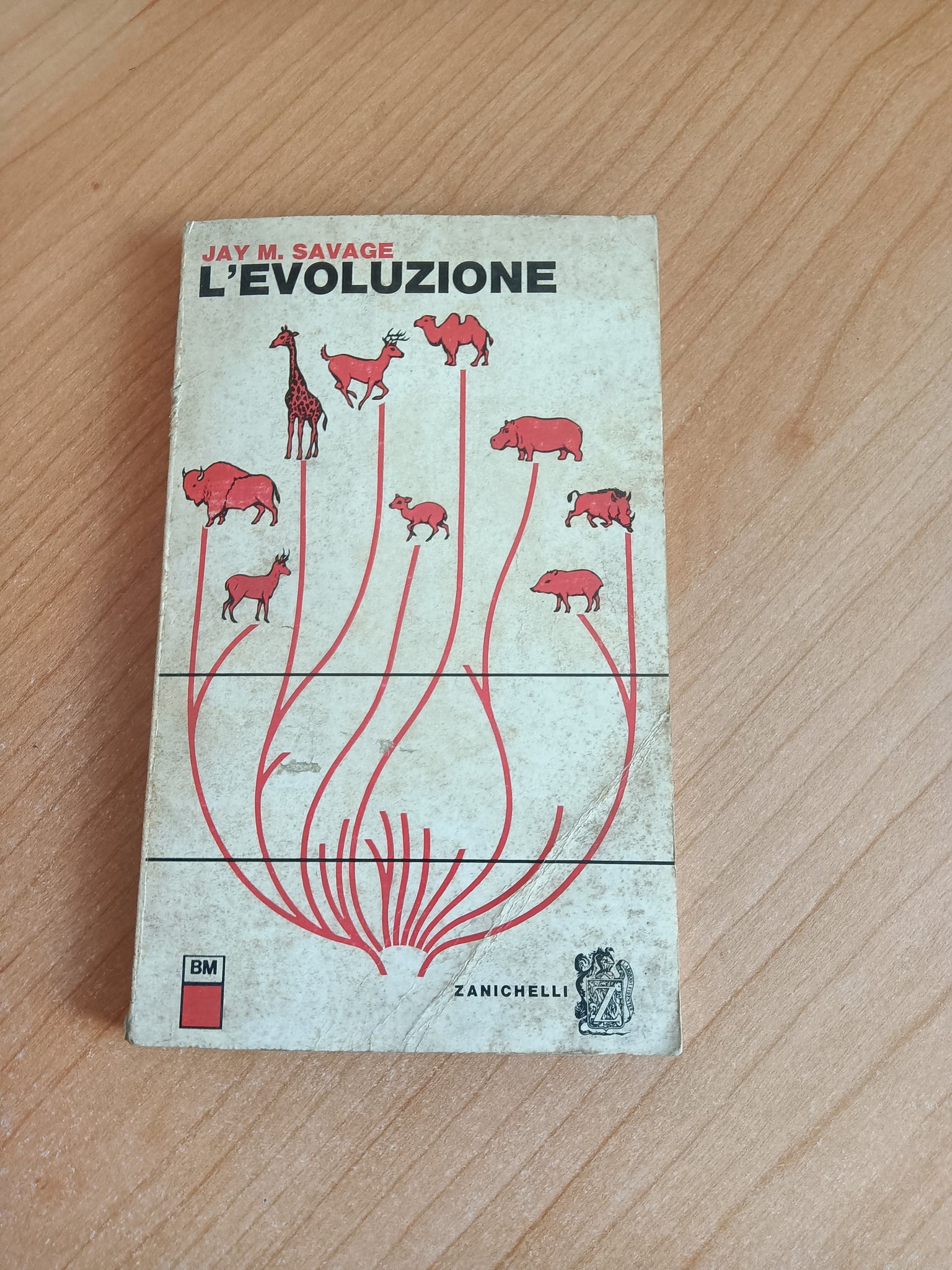 L’ Evoluzione | Jay M. Savage