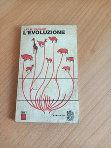 L’ Evoluzione | Jay M. Savage