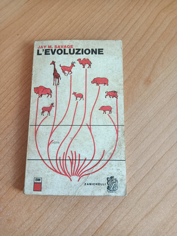 L’ Evoluzione | Jay M. Savage