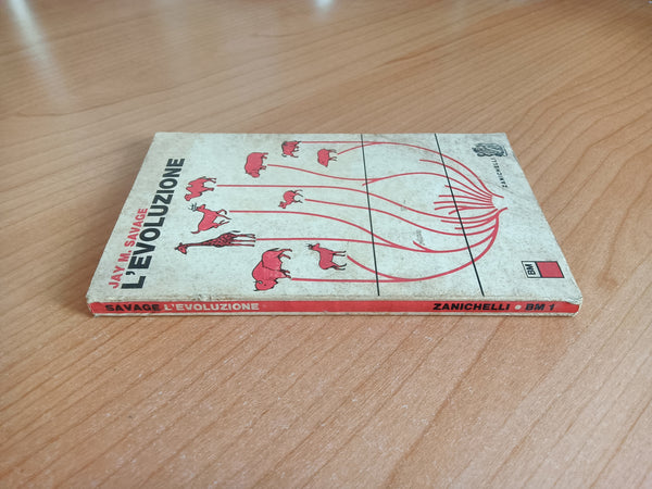 L’ Evoluzione | Jay M. Savage