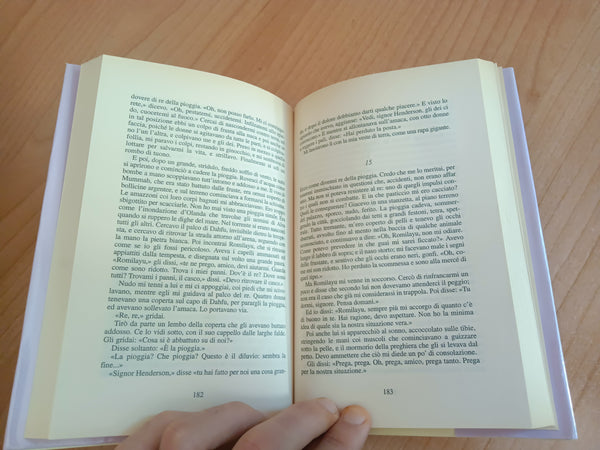 Il re della pioggia | Saul Bellow