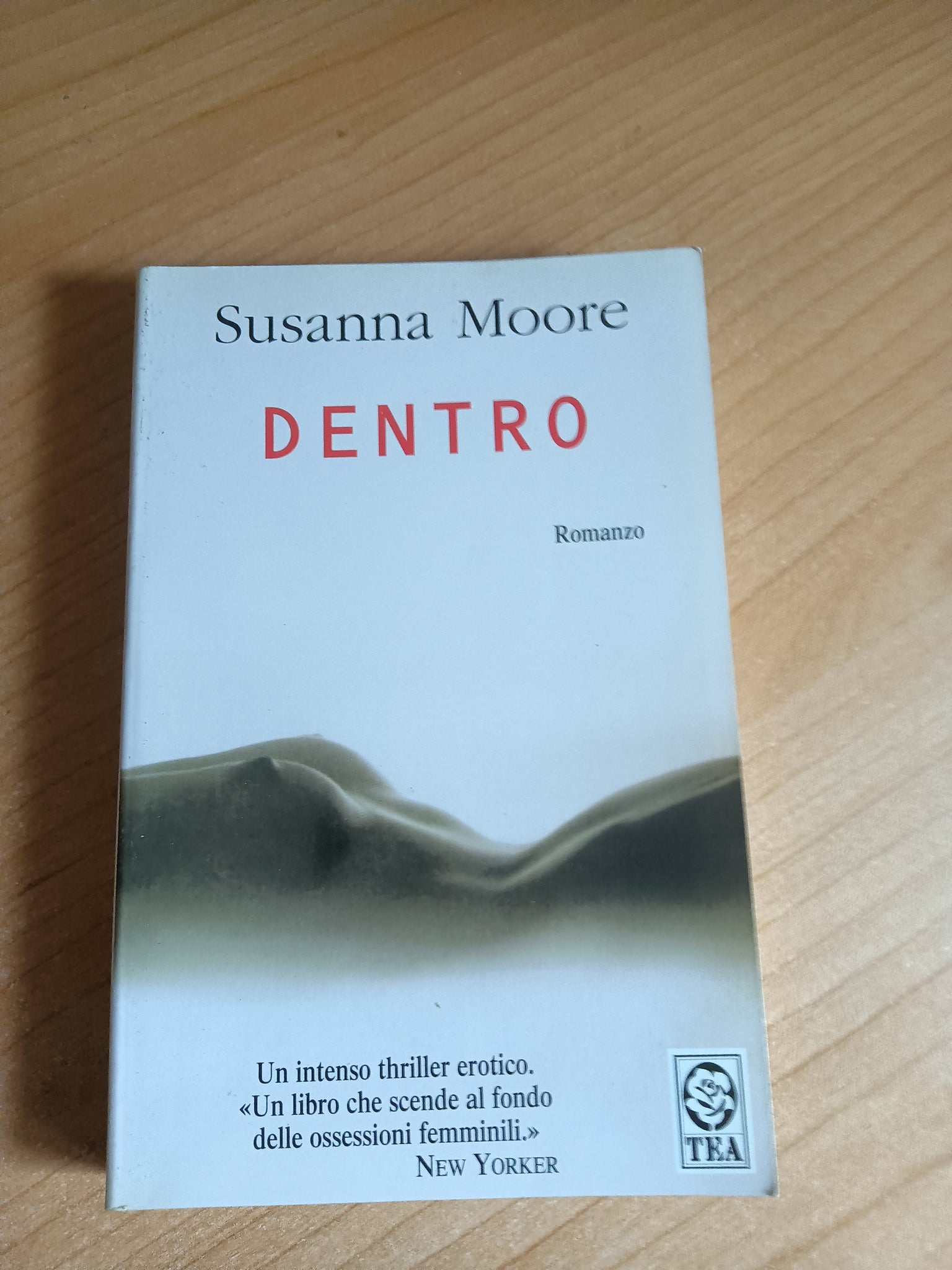 Dentro | Susanna Moore