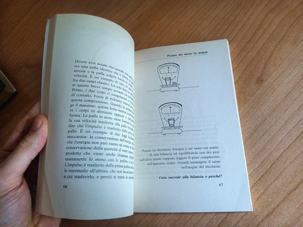 Il diavoletto di Maxwell | P. Ghose; D. Home