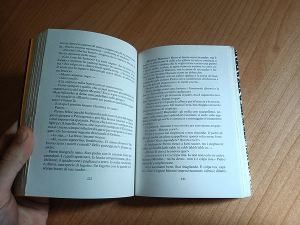 Ti prendo e ti porto via | Niccolò Ammaniti - Mondadori