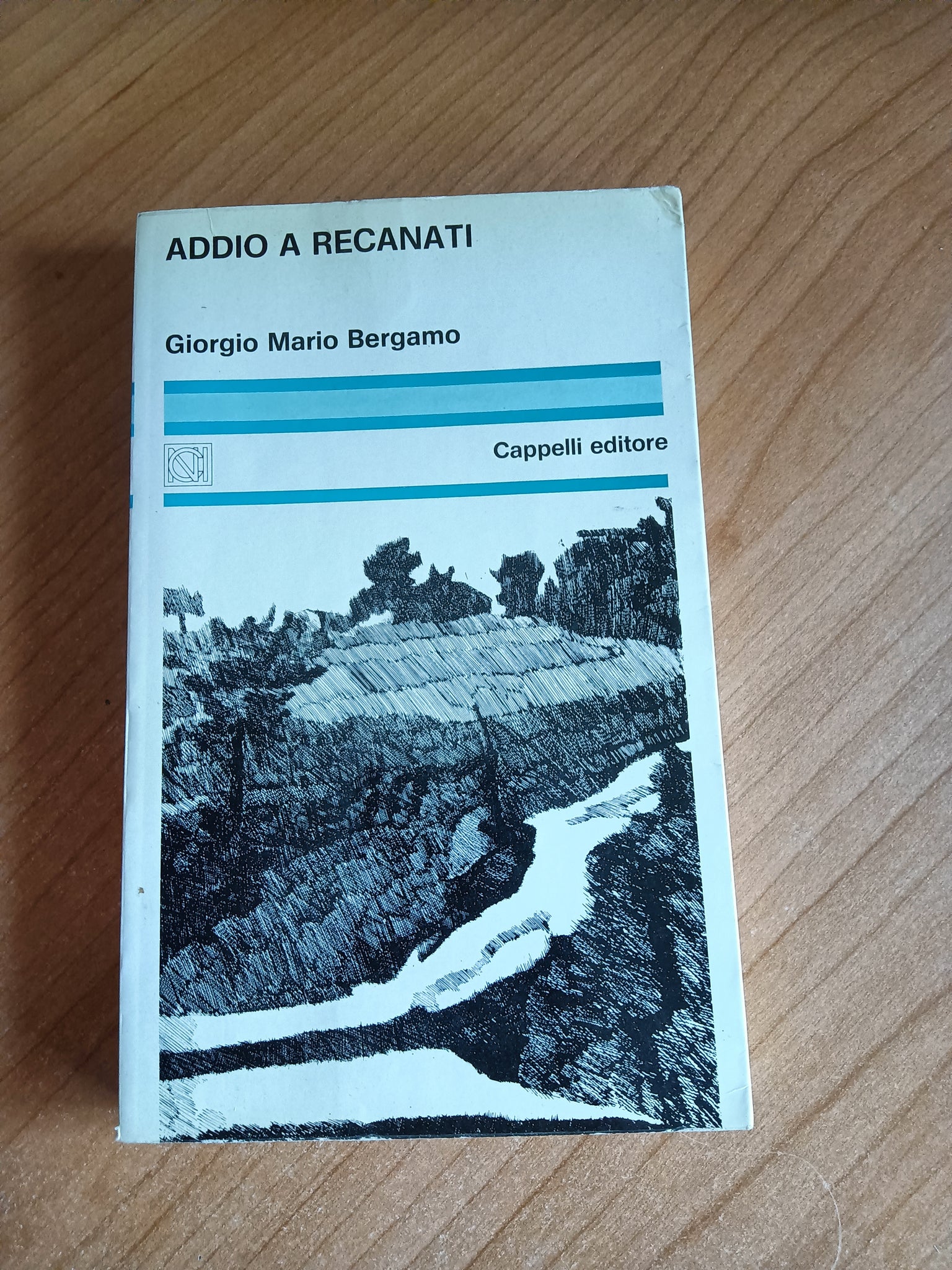 Addio a Recanati | Giorgio Mario Bergamo