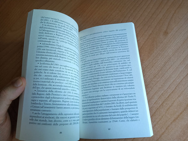 Psicopatologia delle riforme quotidiane | Luciano Vandelli - Il Mulino