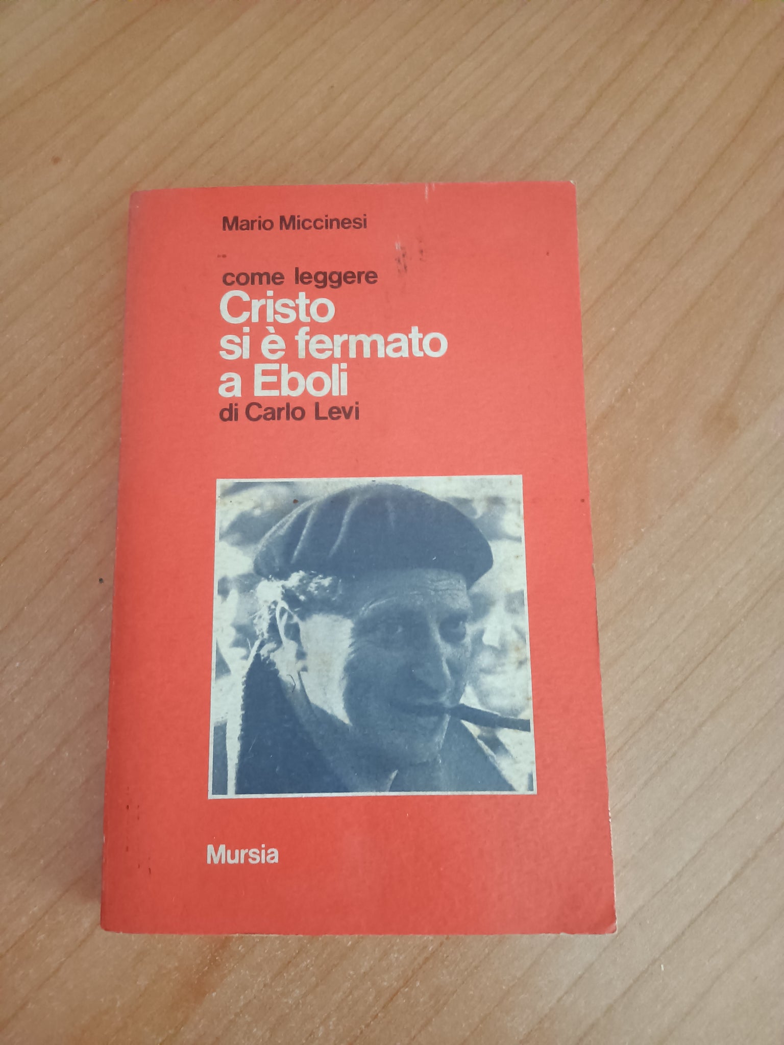 Come leggere Cristo si è fermato a Eboli | Mario Miccinesi