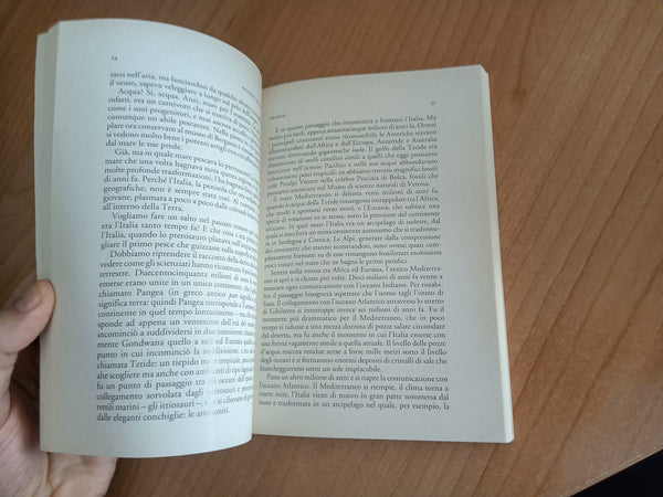 Piccolo, grande, vivo. Storie di quark e di galassie, di uomini e altri animali | Pietro Bianucci