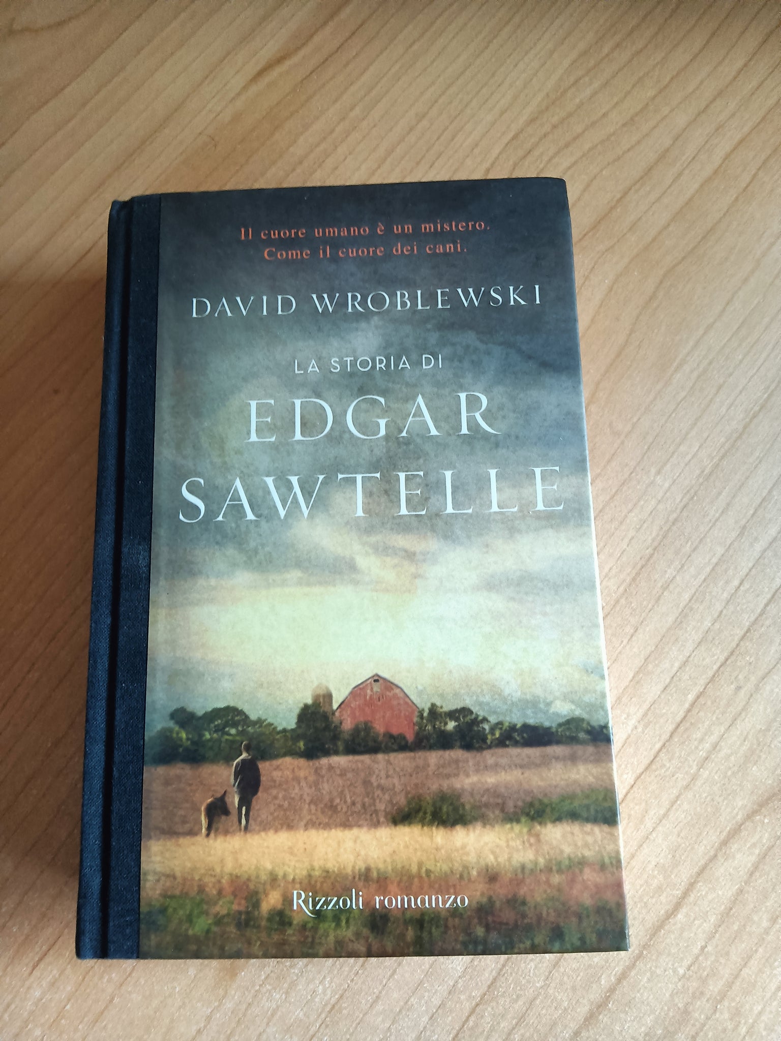 La storia di Edgar Sawtelle | David Wroblewski - Rizzoli