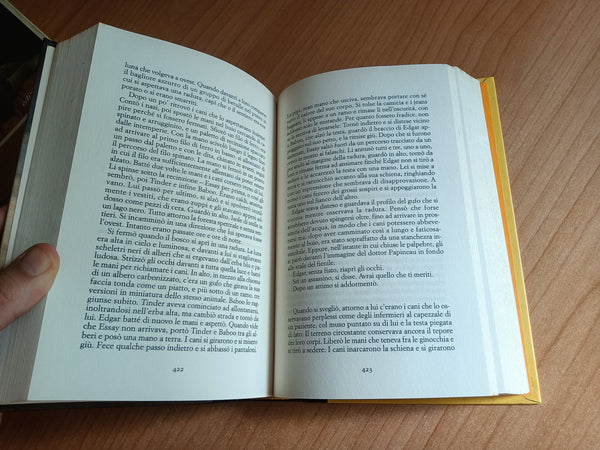 La storia di Edgar Sawtelle | David Wroblewski - Rizzoli