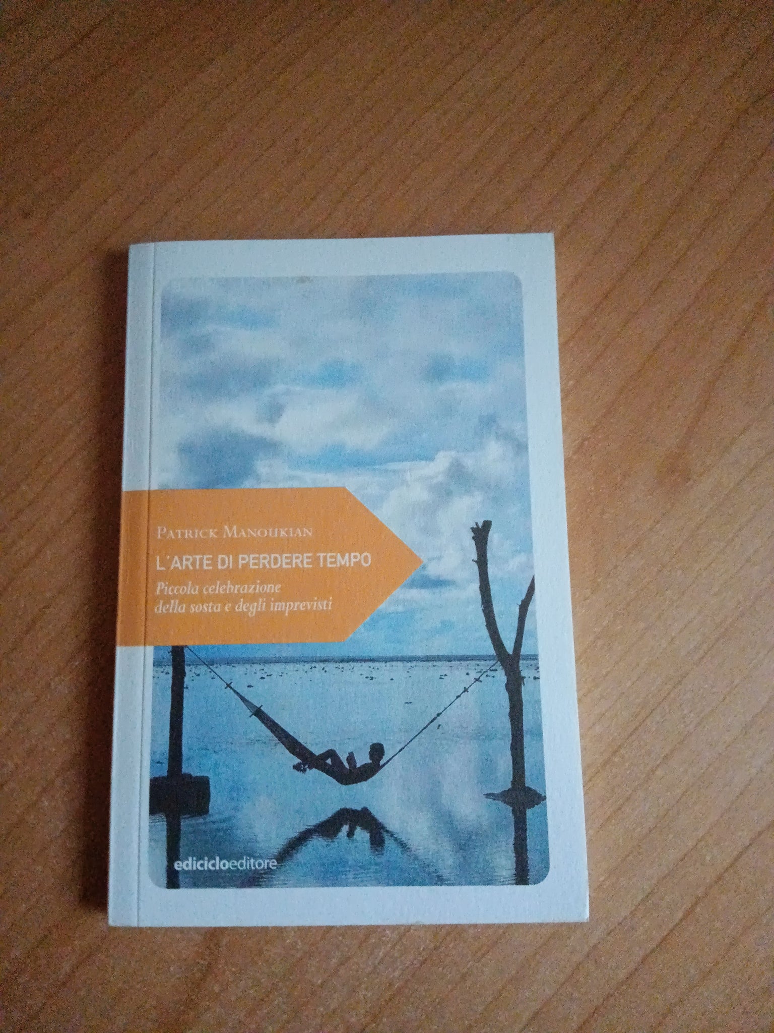 L’arte di perdere tempo | Patrick Manokian