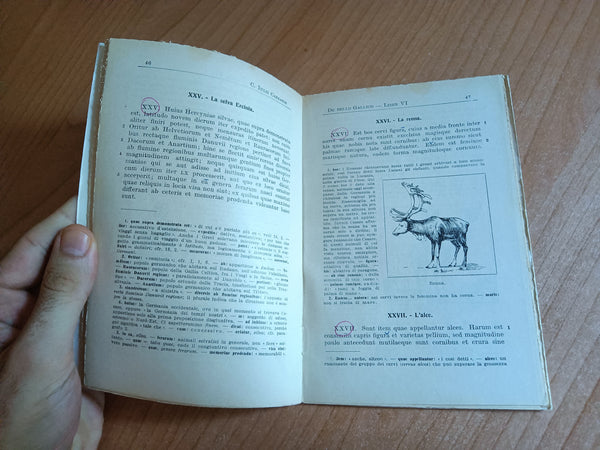 De Bello Gallico. libro sesto | Cesare
