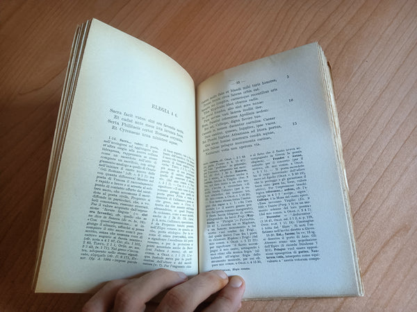 Le elegie romane | Sesto Properzio