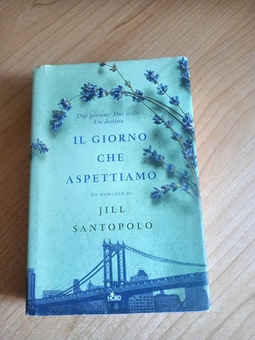 Il giorno che aspettiamo | Jill Santopolo