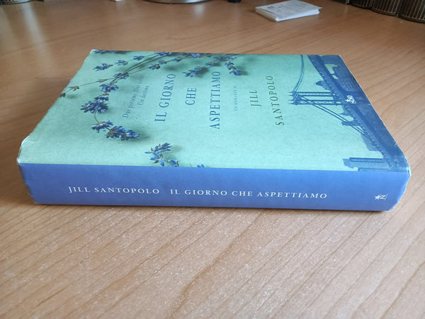 Il giorno che aspettiamo | Jill Santopolo