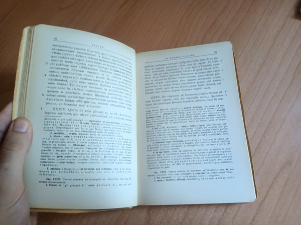 Minerva Memor. Letture Latine Vol. III | Nicola Terzaghi