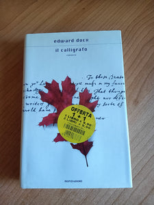 Il calligrafo | Edward Docx - Mondadori