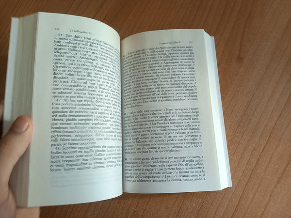 Le guerre in Gallia | Giulio Cesare - Mondadori