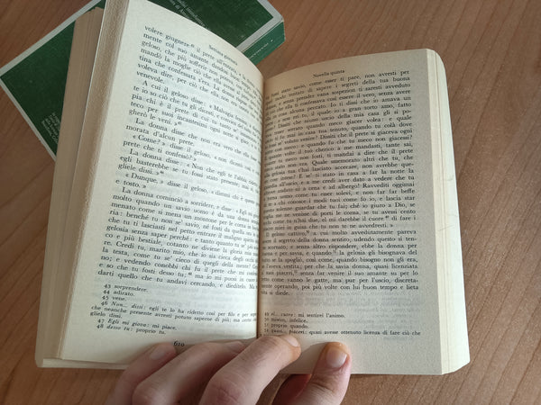 Decameron 2 Voll. | Giovanni Boccaccio - Garzanti