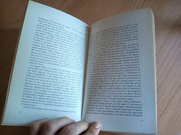Lettera a un ragazzo sulla felicità | Franco Ferrucci - Bompiani