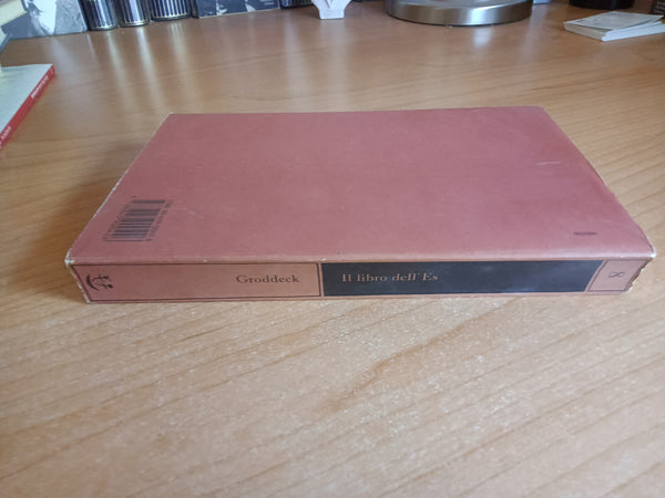 Il libro dell’Es. Lettere di psicoanalisi a un’amica | Georg Groddeck - Adelphi