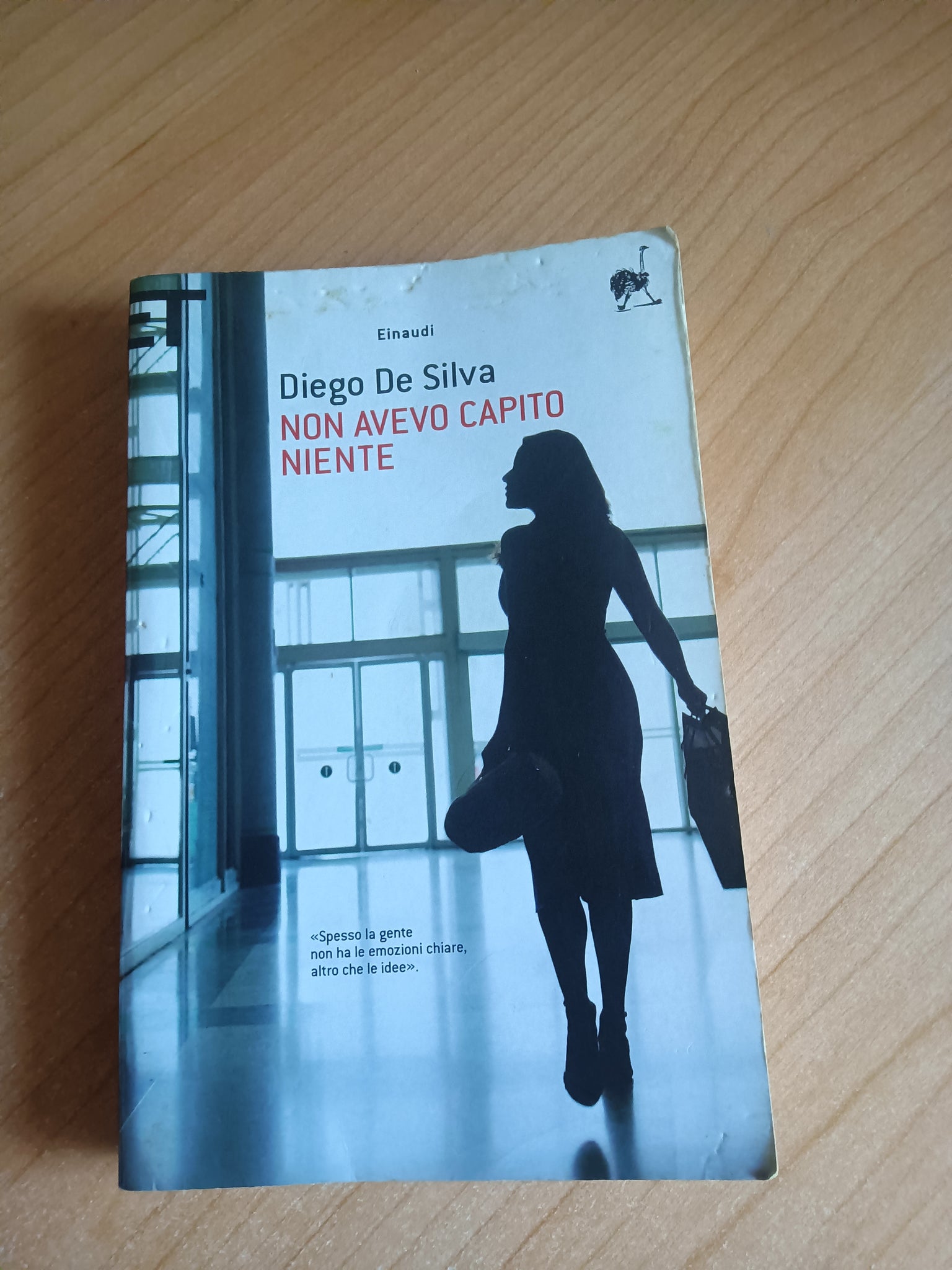 Non avevo capito niente | Diego De Silva - Einaudi