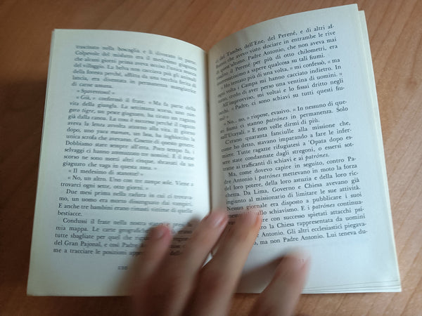 I fiumi scendevano a oriente | Leonard Clark