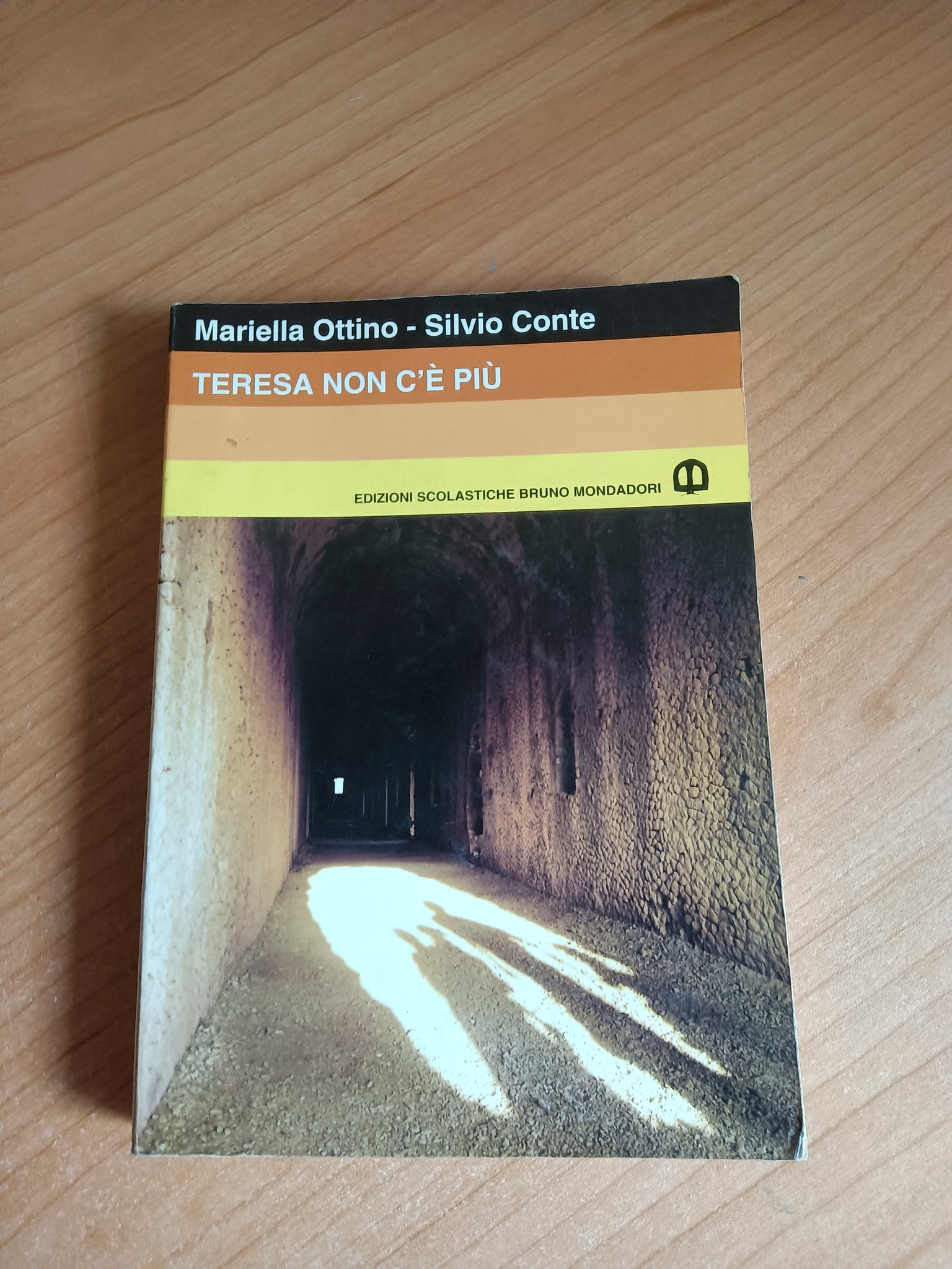 Teresa non c’è più | M. Ottino; S. Conte - Mondadori
