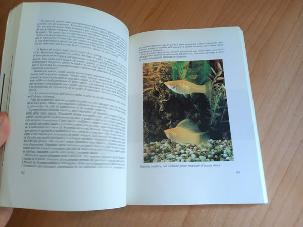 Manuale pratico dell’acquario | Valerio Zupo
