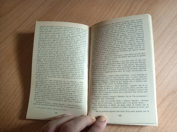 Don Chisciotte della Mancia Voll. 2 | Cervantes - Garzanti