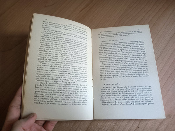 Sviluppo del bambino e psicoanalisi | Willi Hoffer - Borignhieri
