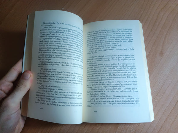 Cane giallo | Martin Amis - Einaudi