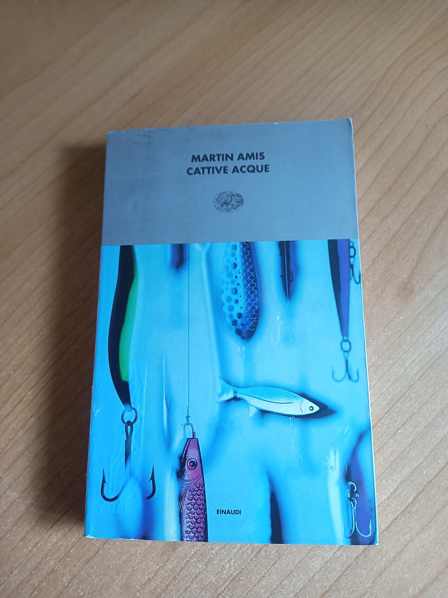 Cattive acque | Martin Amis - Einaudi