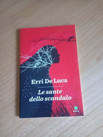 Le sante dello scandalo | Erri De Luca