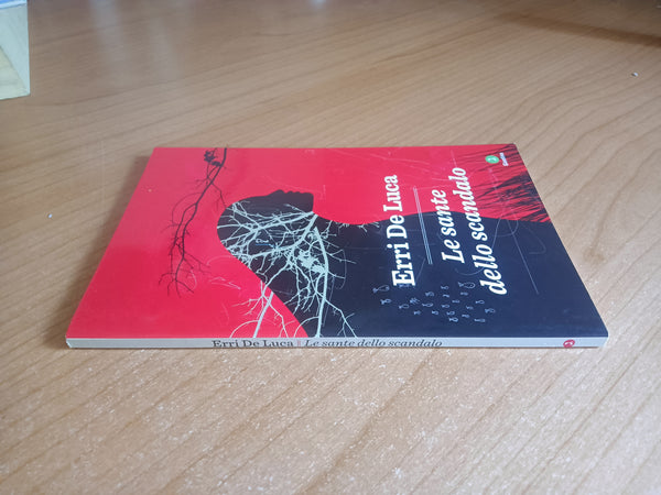 Le sante dello scandalo | Erri De Luca