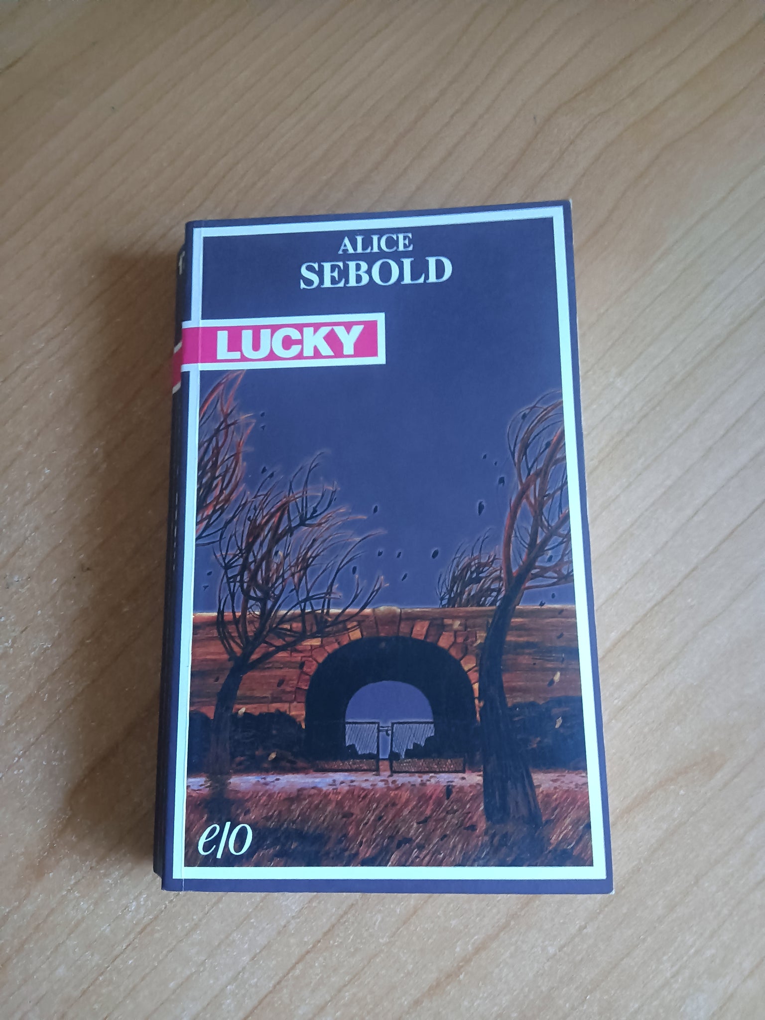 Lucky | Alice Sebold - Edizioni e/o