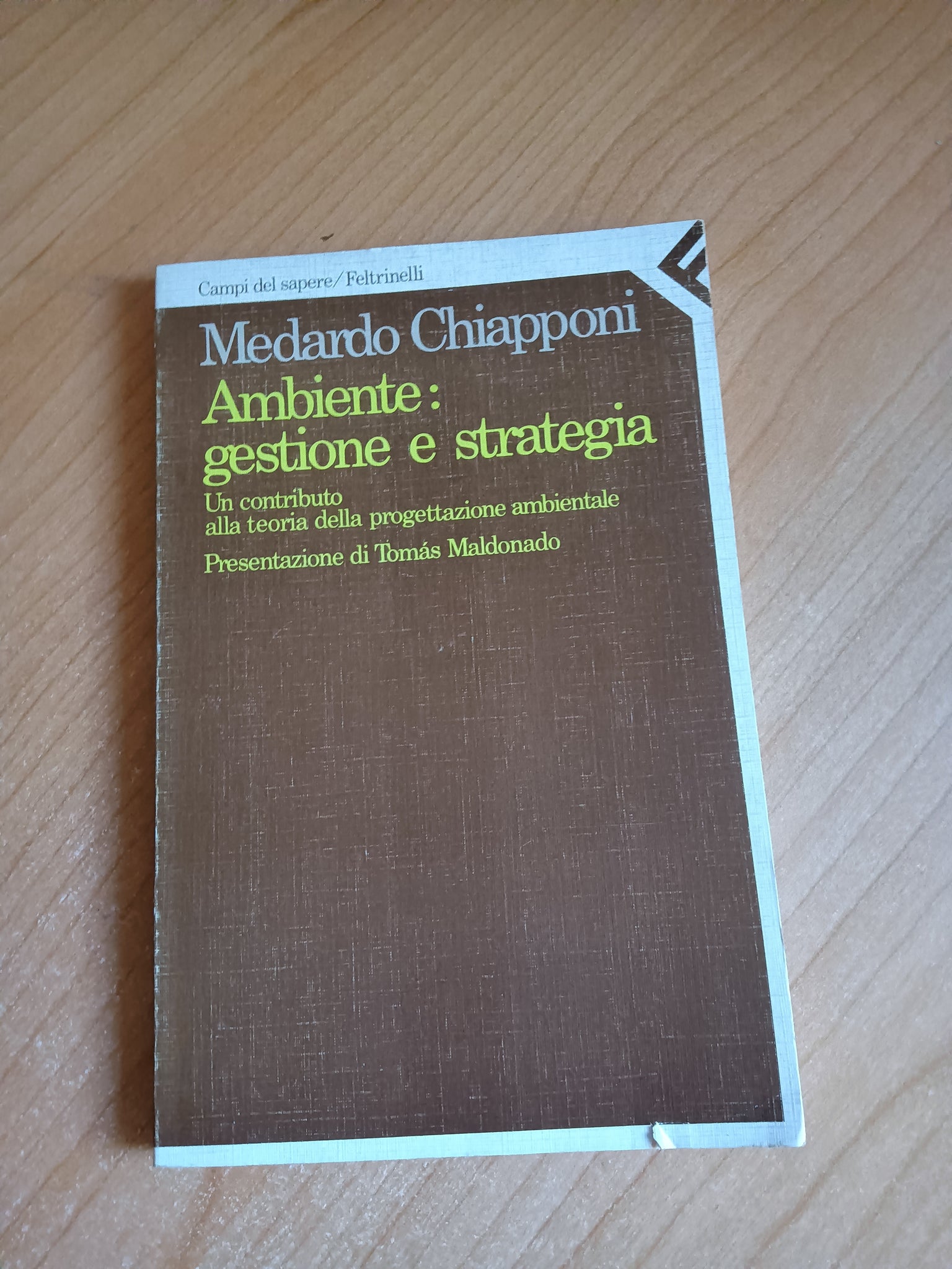 Ambiente: gestione e strategia | Medardo Chiapponi - Feltrinelli