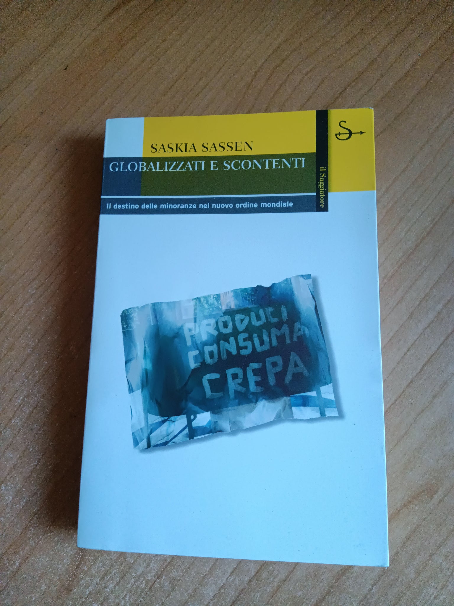 Globalizzati e scontenti | Saskia Sassen - Il Saggiatore