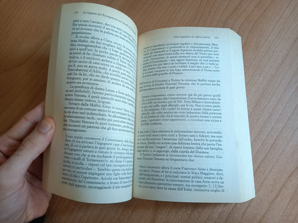 L’amica. Clara Maffei e il salotto nel Risorgimento | Daniela Pizzagalli - Rizzoli