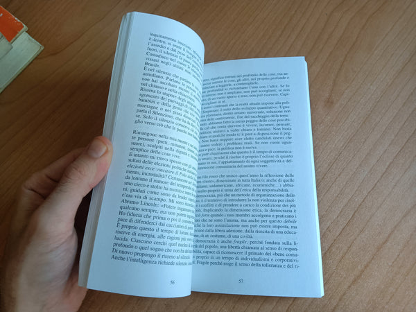 Diario di un viandante | Giuseppe Stoppiglia