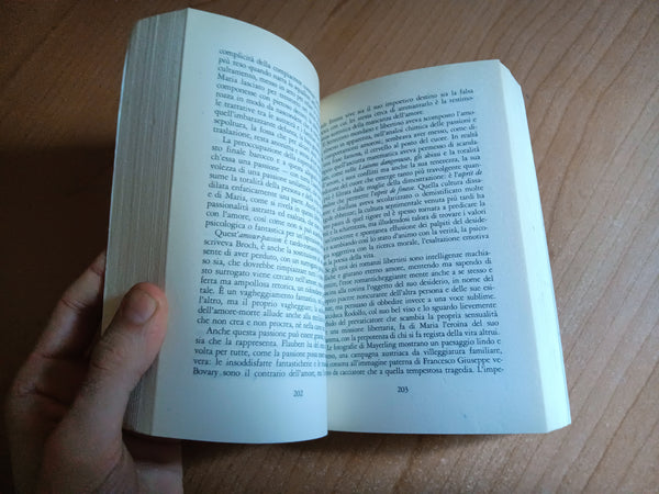 Danubio | Claudio Magris - Garzanti