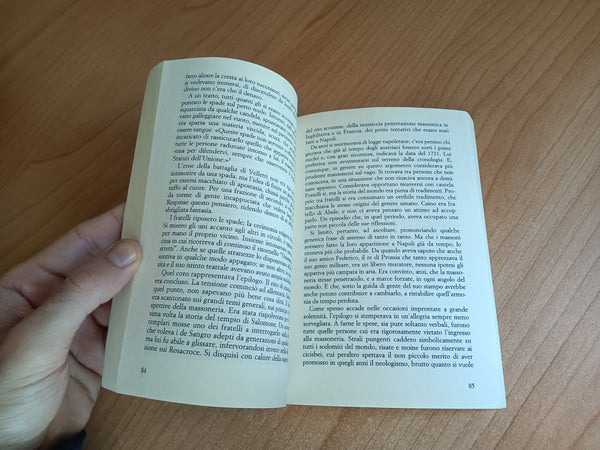Un sole nel labirinto. Storia e leggenda di Raimondo de Sangro principe di Sansevero | Capecelatro - Il Saggiatore