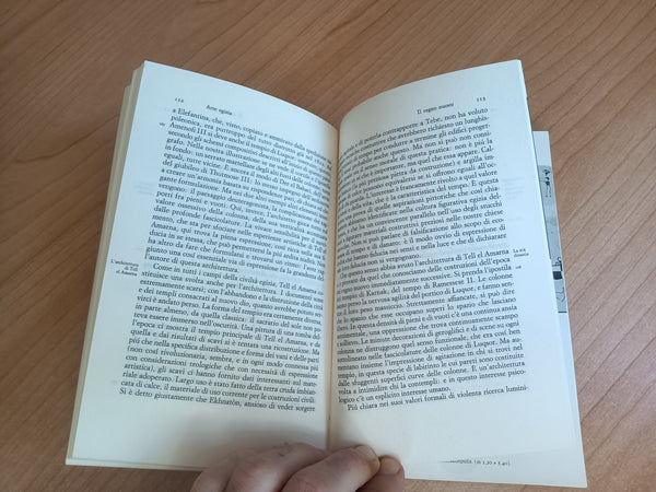 Arte egizia | Sergio Donadoni - Einaudi